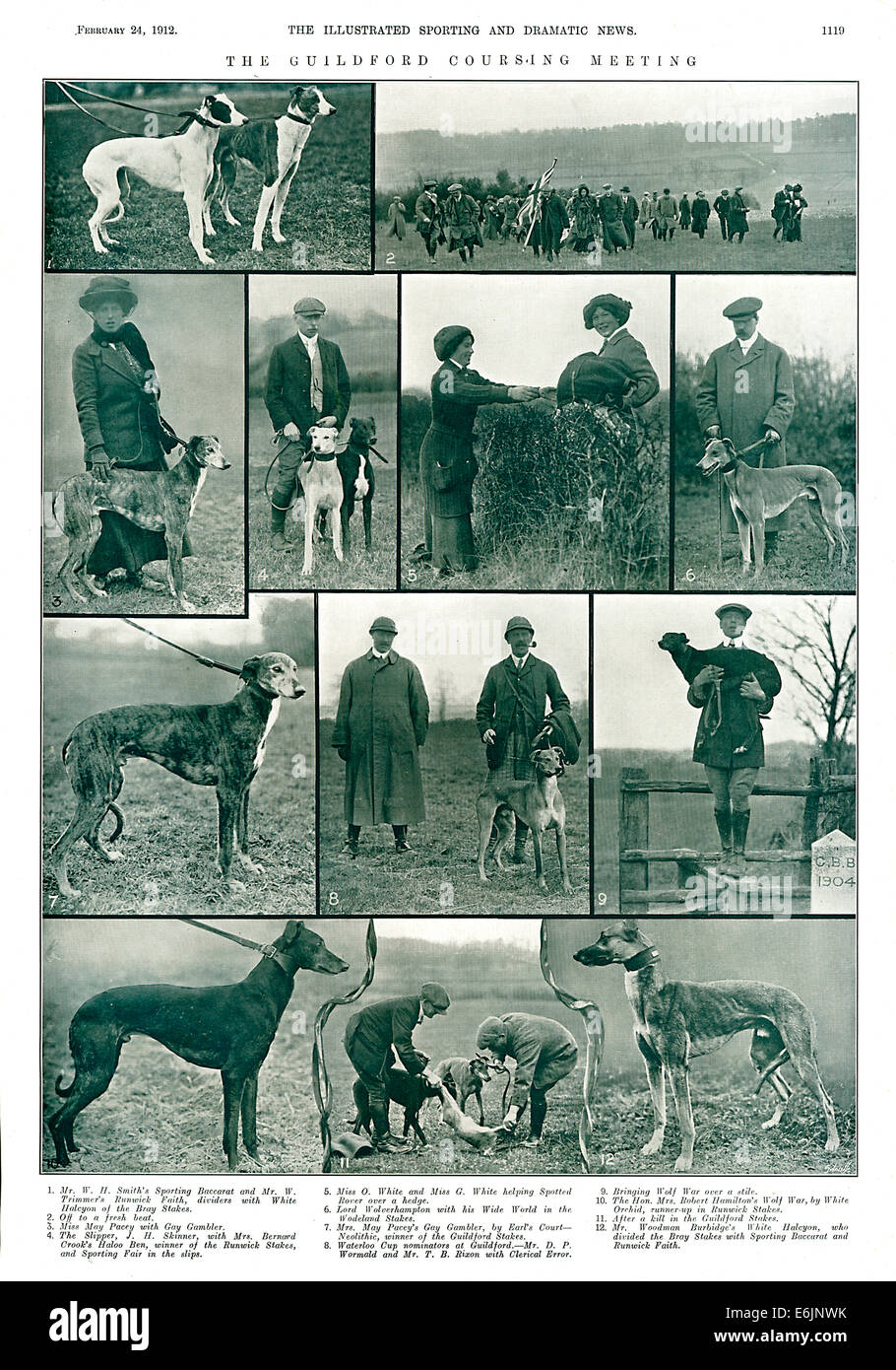 Guildford Coursing treffen, 1912 Zeitschrift Artikel auf Hasen coursing mit Windhunden in Surrey Stockfoto