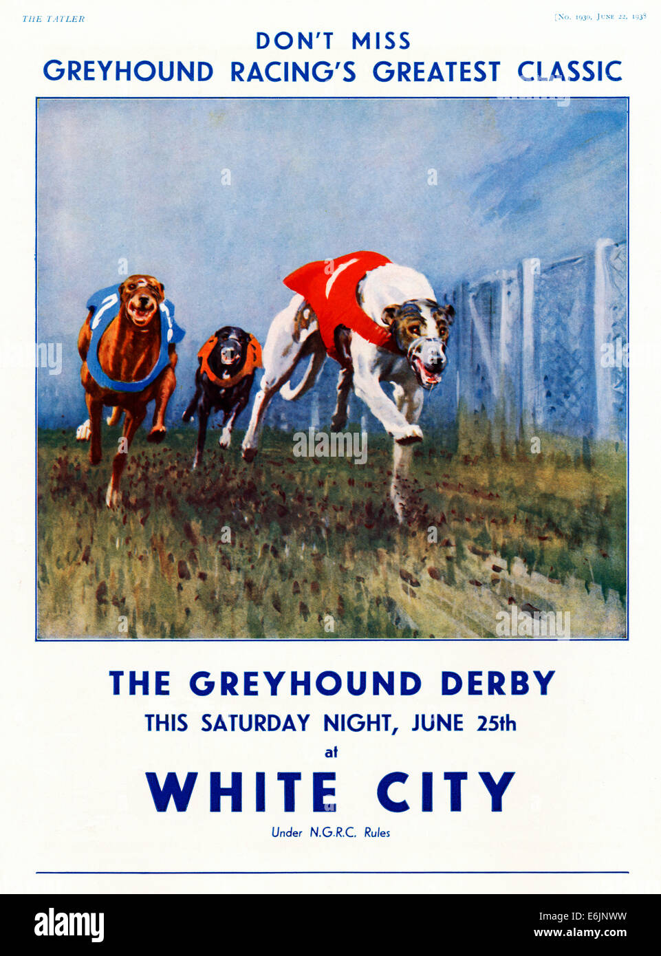 Greyhound Derby, 1938-Anzeige für das führende Hunderennen im White City Stadium in London Stockfoto