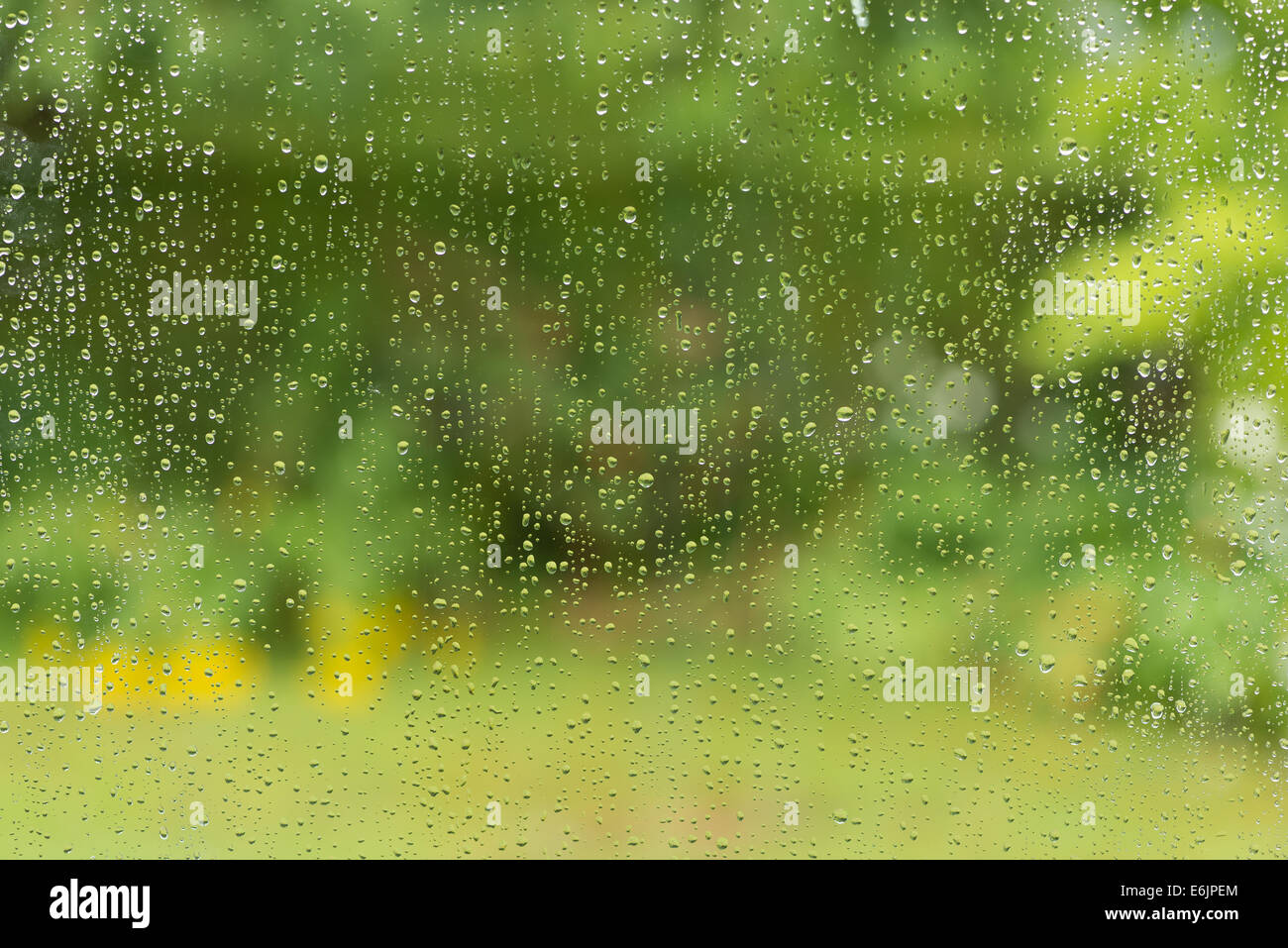 An einem windigen düster regnerischen Tag im Frühling oder Sommer mit lebendige grüne Garten Fenster Regentropfen Blick düsteren Wetter im Inneren gefangen Stockfoto