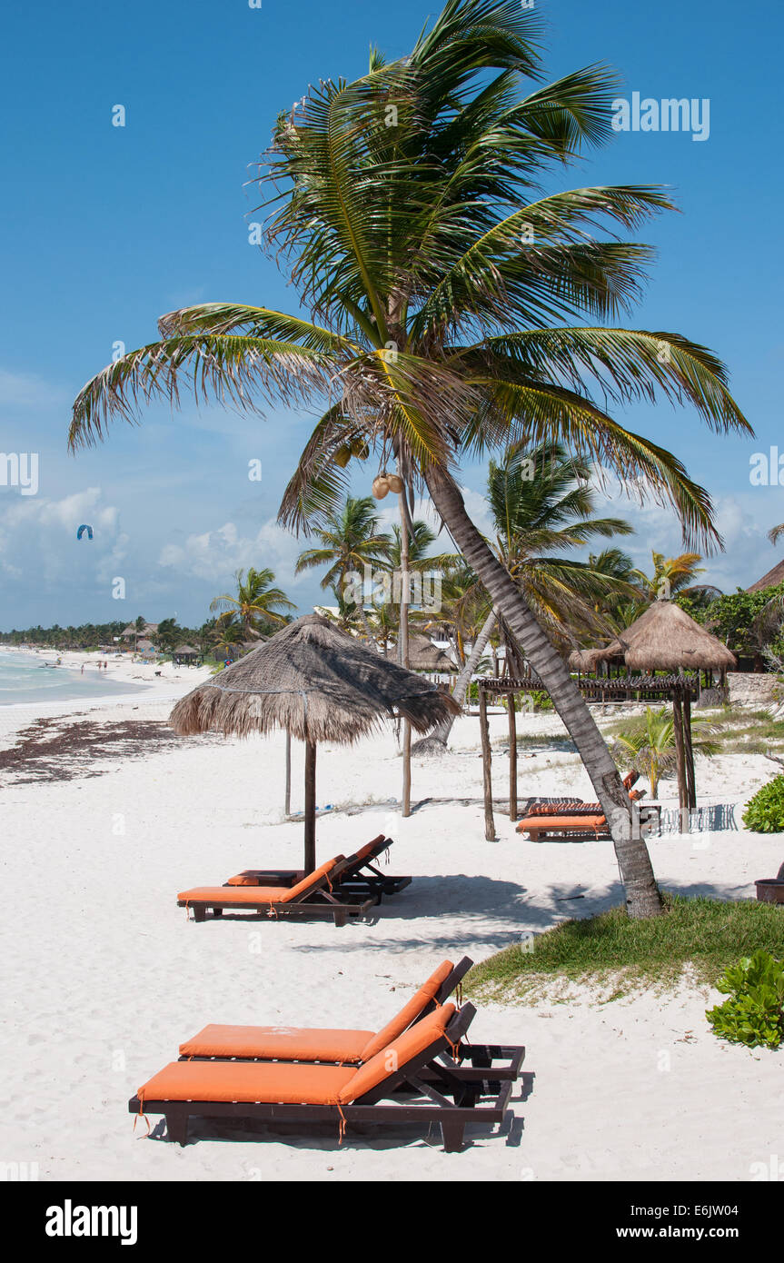 Tropischer Strand mit Palmen Stockfoto