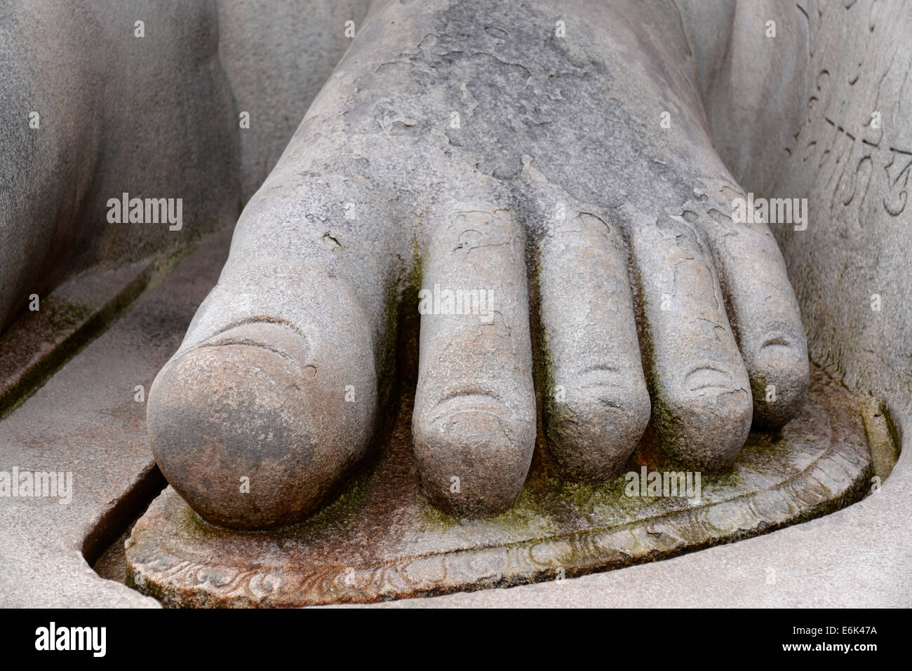Fuß der Statue Gomateshwara, Jain-Asketen, Jain-Tempel am Vindhyagiri Hill, Shravanabelagola, Karnataka, Südindien, Indien Stockfoto