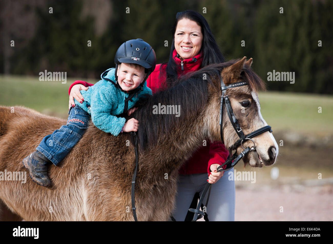 Junges Kind trägt einen Reithelm sitzen ohne Sattel auf einem Pony, Dun, mit einen Zaum mit einem Reitlehrer, Tirol, Österreich Stockfoto