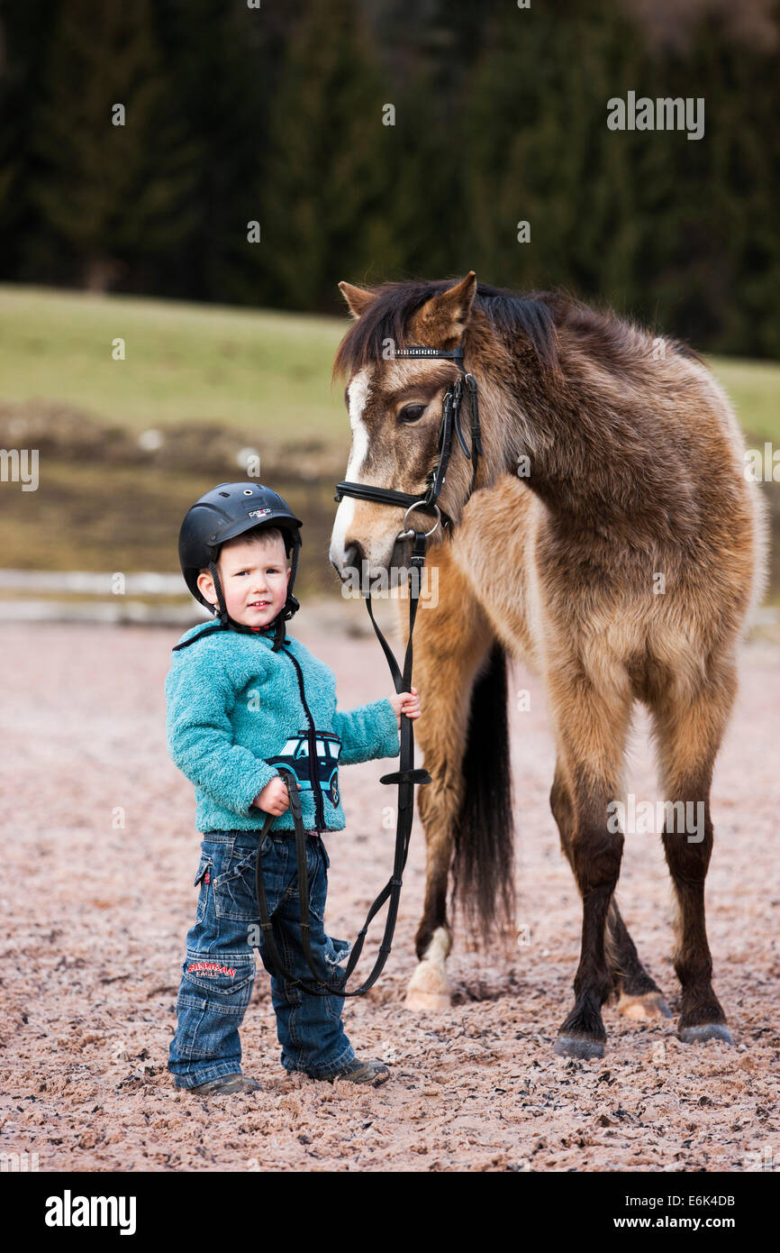 Junges Kind Helm hält ein Pony reiten dun mit einen Zaum, Tirol, Österreich Stockfoto