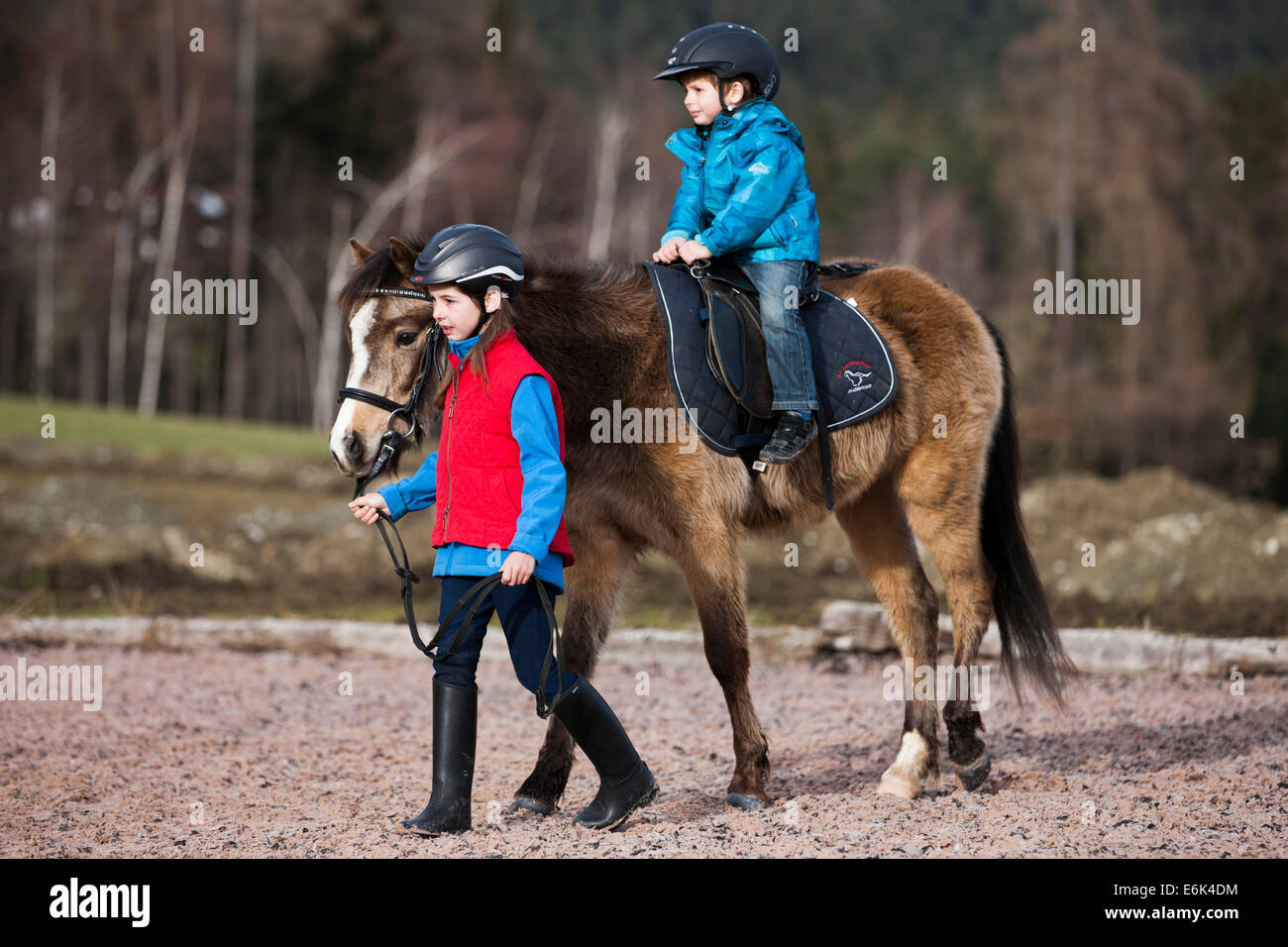 Mädchen führt ein Pony mit einem kleinen Kind reiten, dun mit einen Zaum, Tirol, Österreich Stockfoto