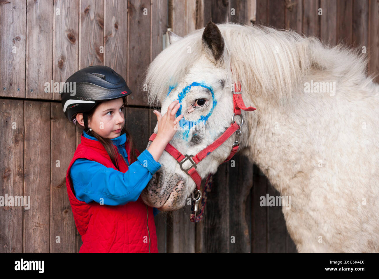 Mädchen tragen einen Reithelm Malerei ein Pony mit Finger Farben, grau, Tirol, Österreich Stockfoto