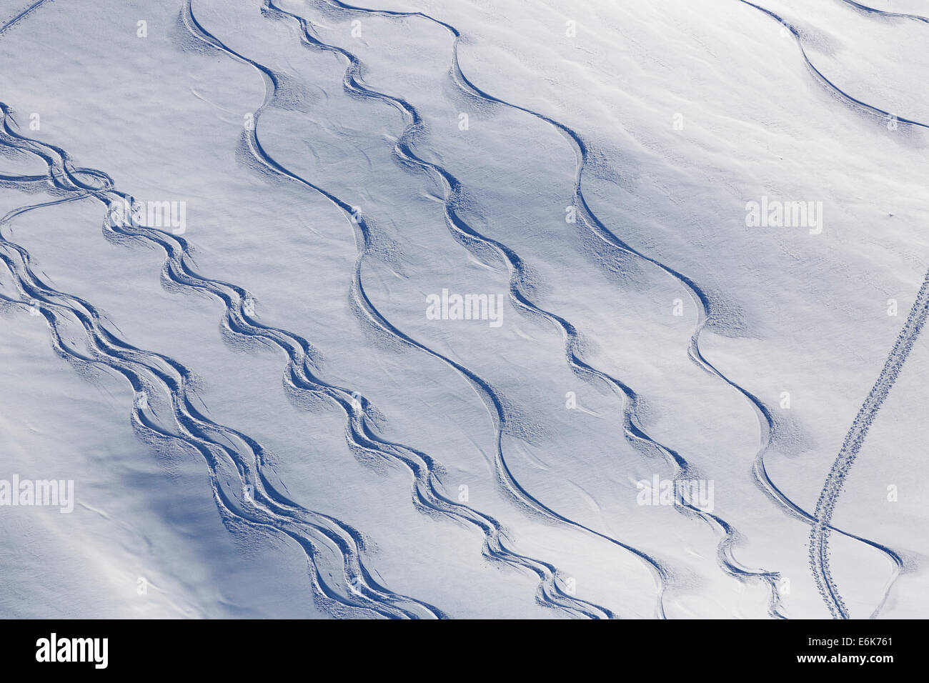 Skipisten im tiefen Schnee, Unterdamülser Alpe, Berg Weide, Damüls, Bregenzerwald, Vorarlberg, Österreich Stockfoto