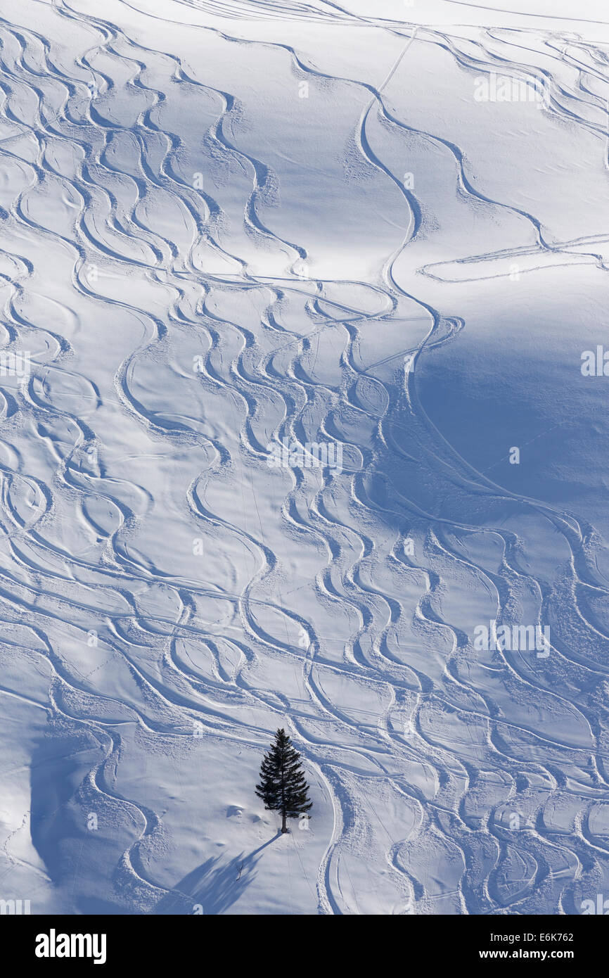 Skipisten im tiefen Schnee, Unterdamülser Alpe, Berg Weide, Damüls, Bregenzerwald, Vorarlberg, Österreich Stockfoto