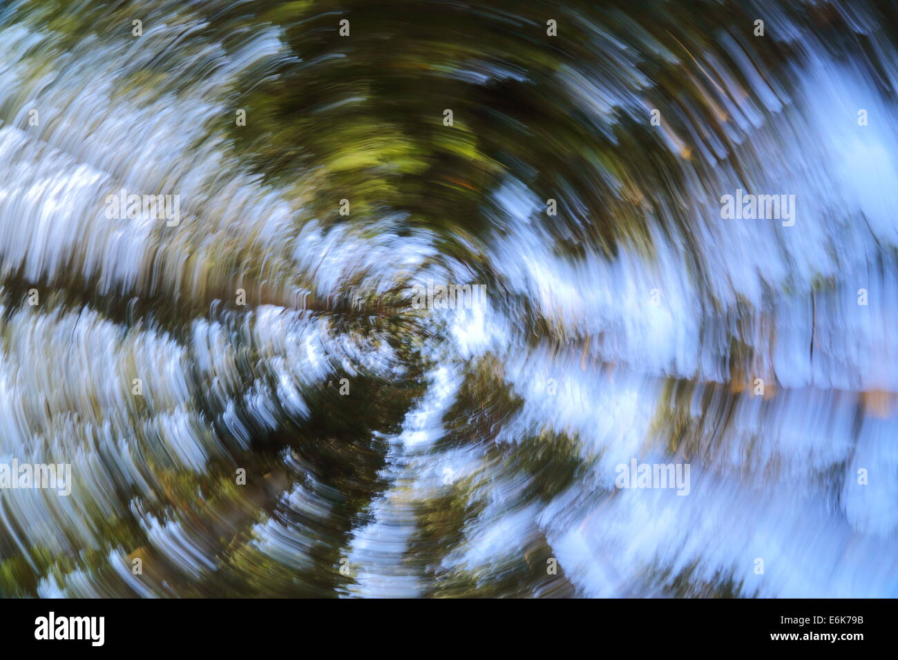 Bewegungsunschärfe nachschlagen durch die Baumkronen des einen Stand von Nadelbäumen in Fremantle, Western Australia. Stockfoto
