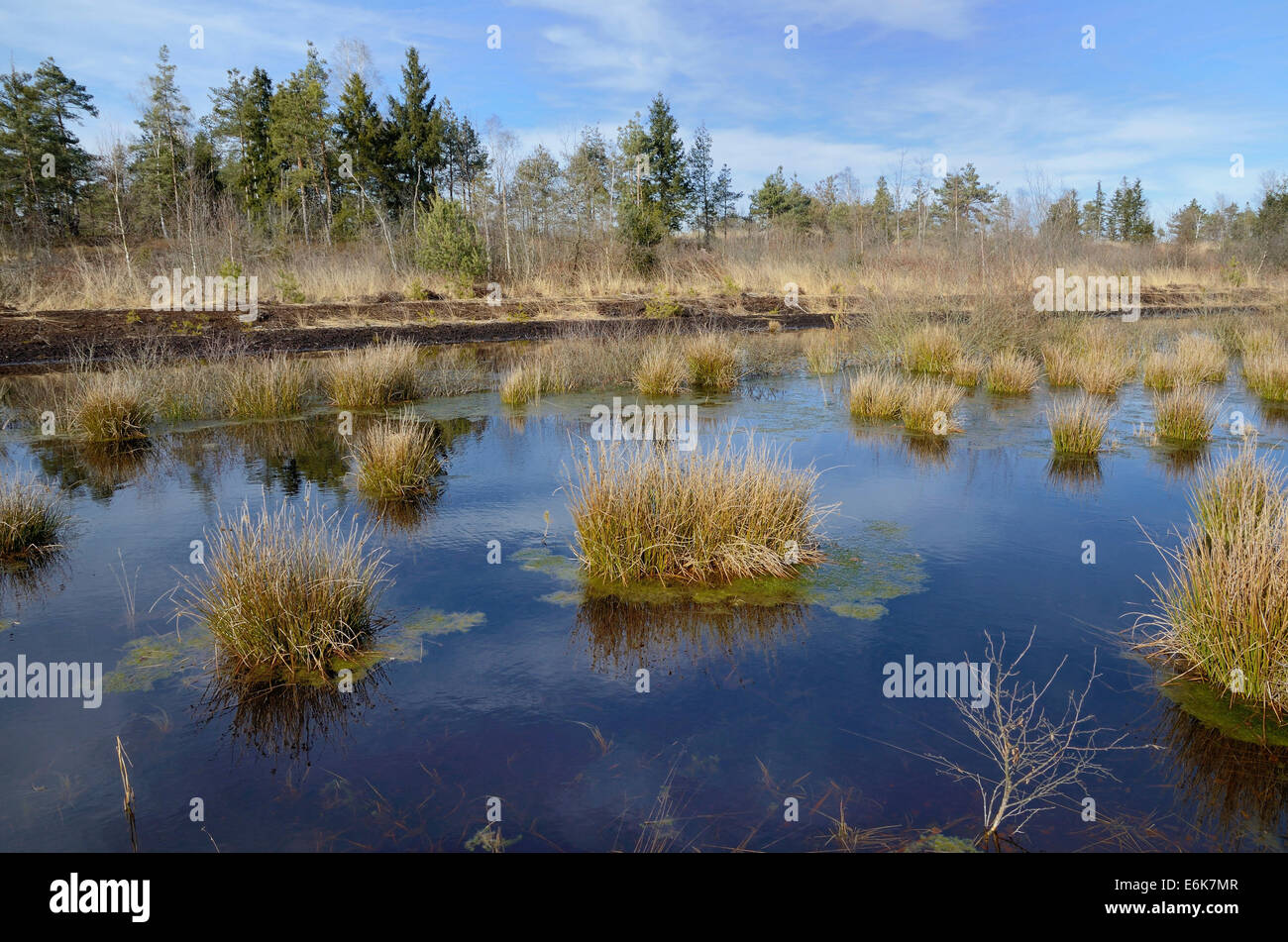Torfabbaugebiet Fotos und Bildmaterial in hoher Auflösung Alamy
