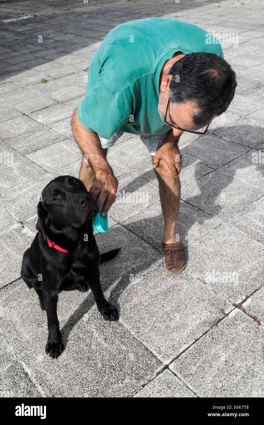 Mann Bürsten schwarzer Labrador Retriever Hund Haare Stockfoto
