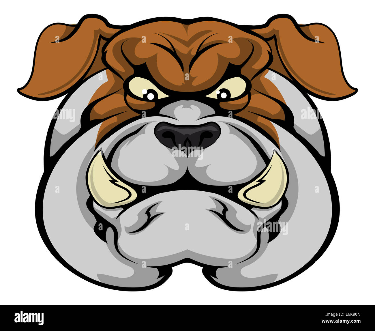 Eine mittlere Bulldog Maskottchen starrte nach vorne schauen Stockfoto