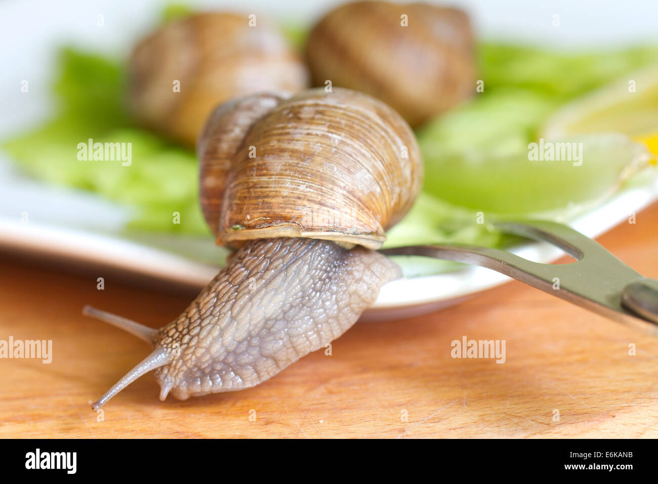 Schnecke entweicht aus dem Teller Essen Spaß Konzept Stockfoto