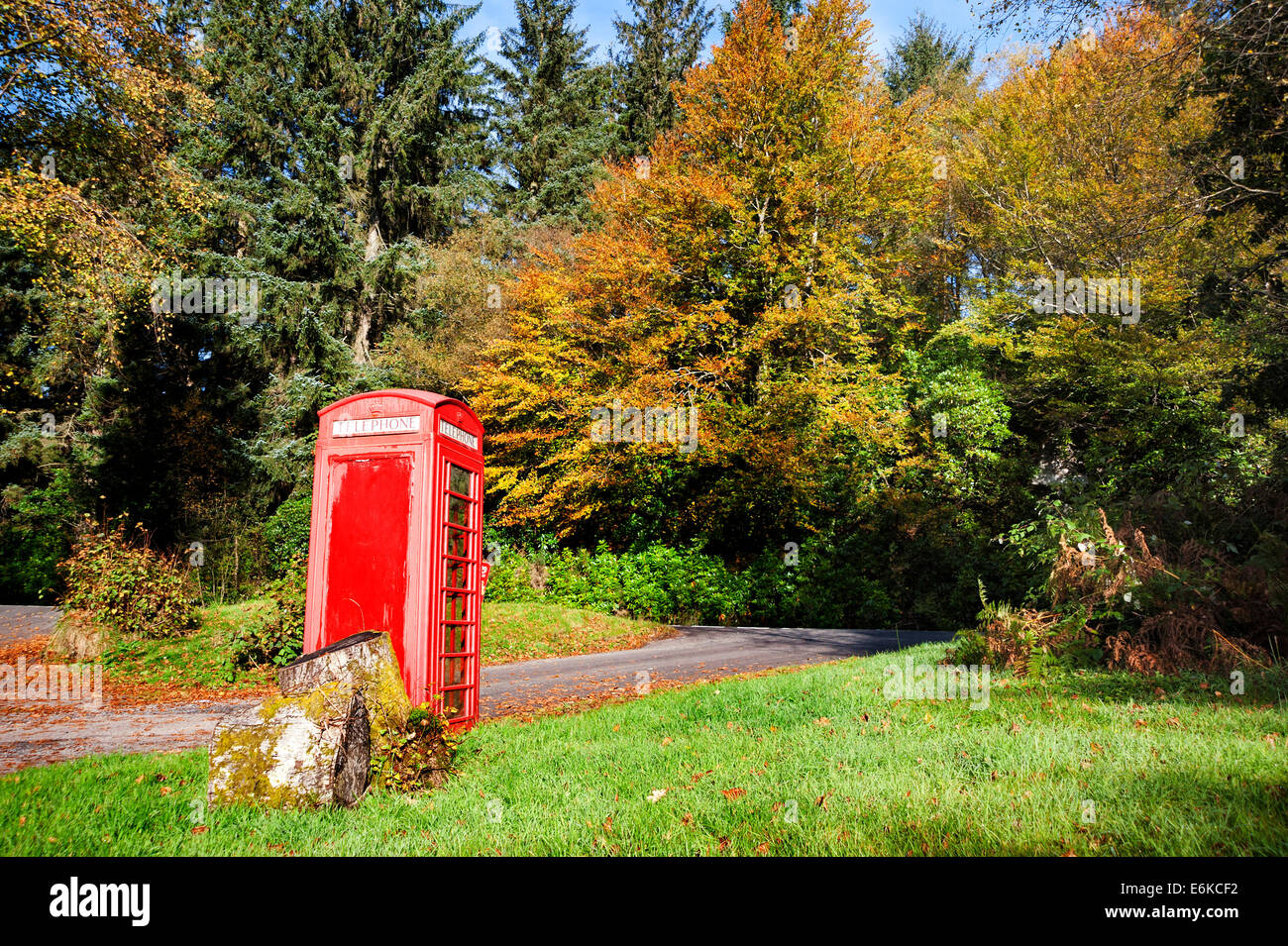 Eine rote Telefonzelle in den Wäldern am Eingang zum Ardgartan Campingplatz Stockfoto