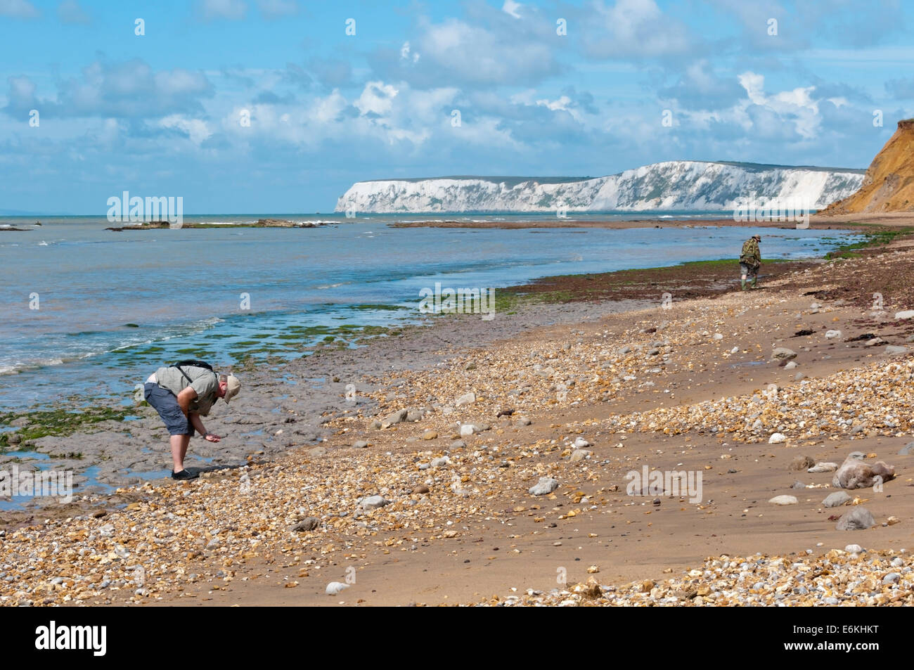 Fossilen Jäger am Strand von Brook Bay, Isle Of Wight. Stockfoto