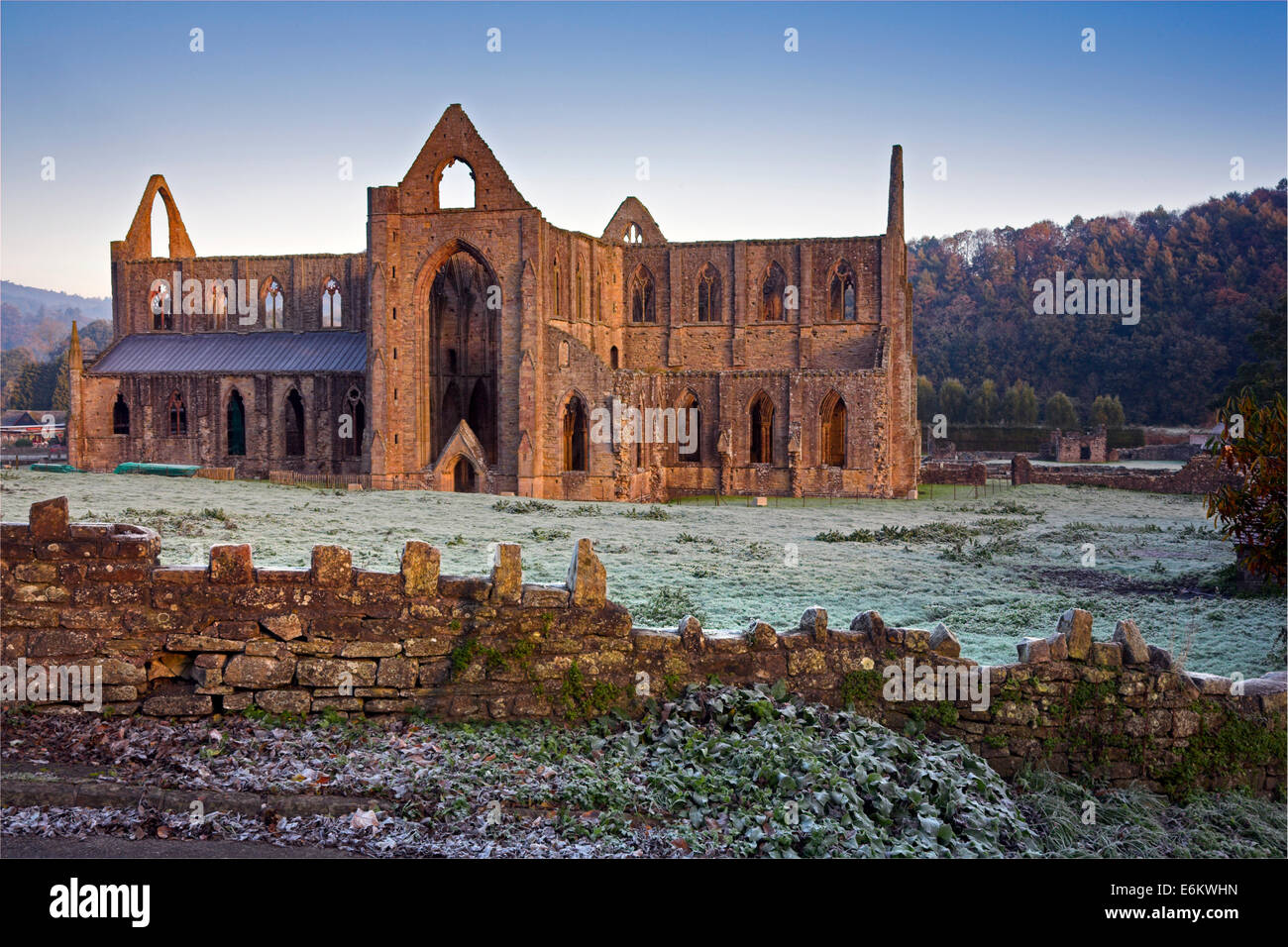 Tintern Abbey an einem frostigen Morgen. Stockfoto