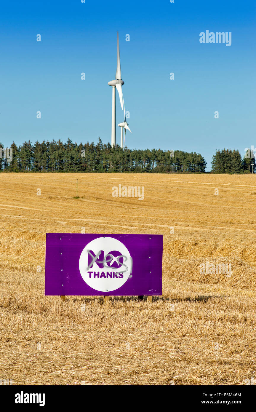 SCHOTTISCHEN UNABHÄNGIGKEITSREFERENDUM 2014 EIN NEIN DANKE ANMELDEN EINE GERSTE FELD ABERDEENSHIRE DURCH JA ÜBERSCHRIEBEN Stockfoto