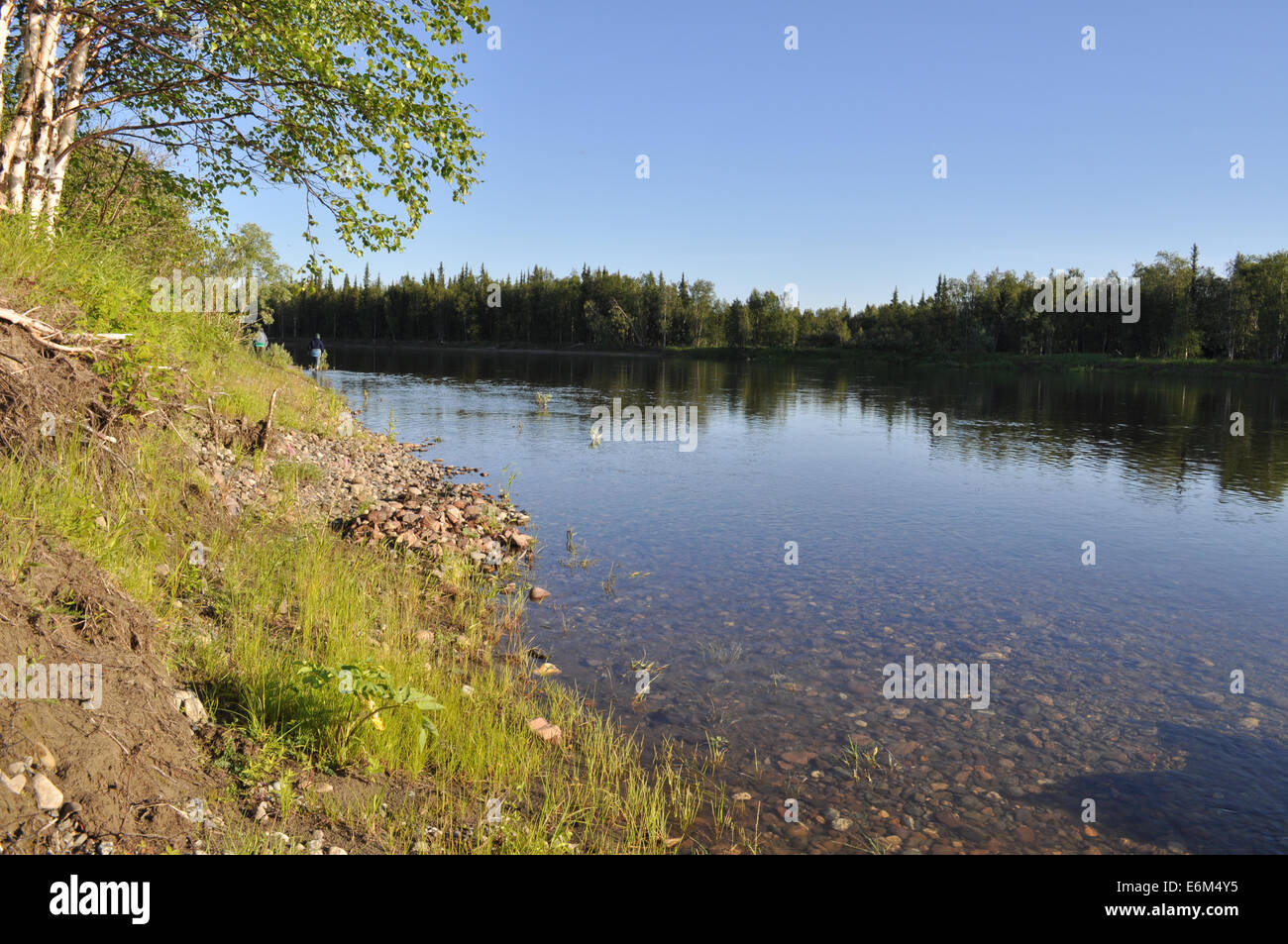 Landschaft des Flusses Taiga. Fluss Polar Ural sonnigen Sommernachmittag. Stockfoto