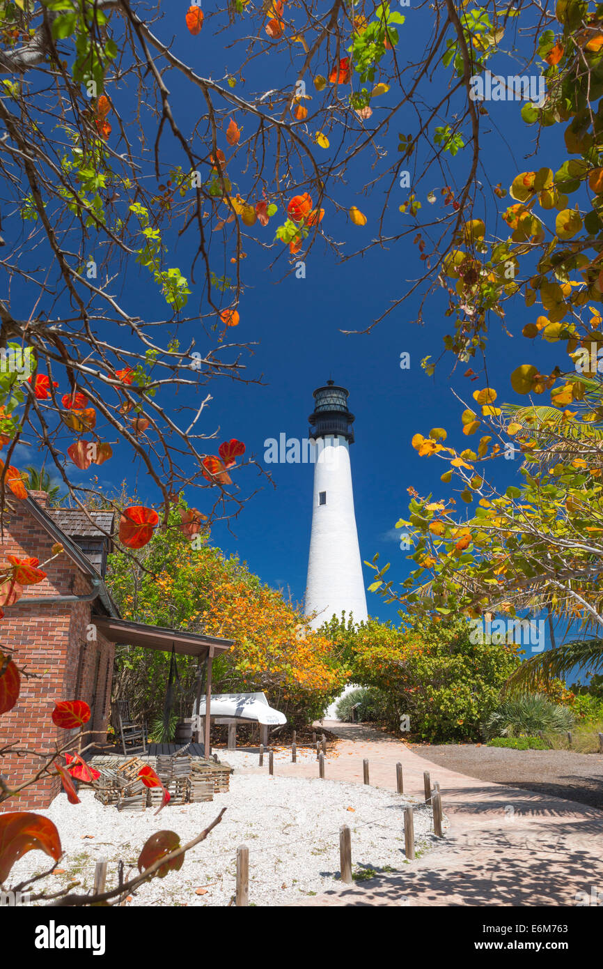 ROT GELBES MEER TRAUBEN HALTER COTTAGE KEY BISCAYNE LEUCHTTURM BILL BAGGS CAPE FLORIDA STATE PARK KEY BISCAYNE MIAMI FLORIDA USA Stockfoto