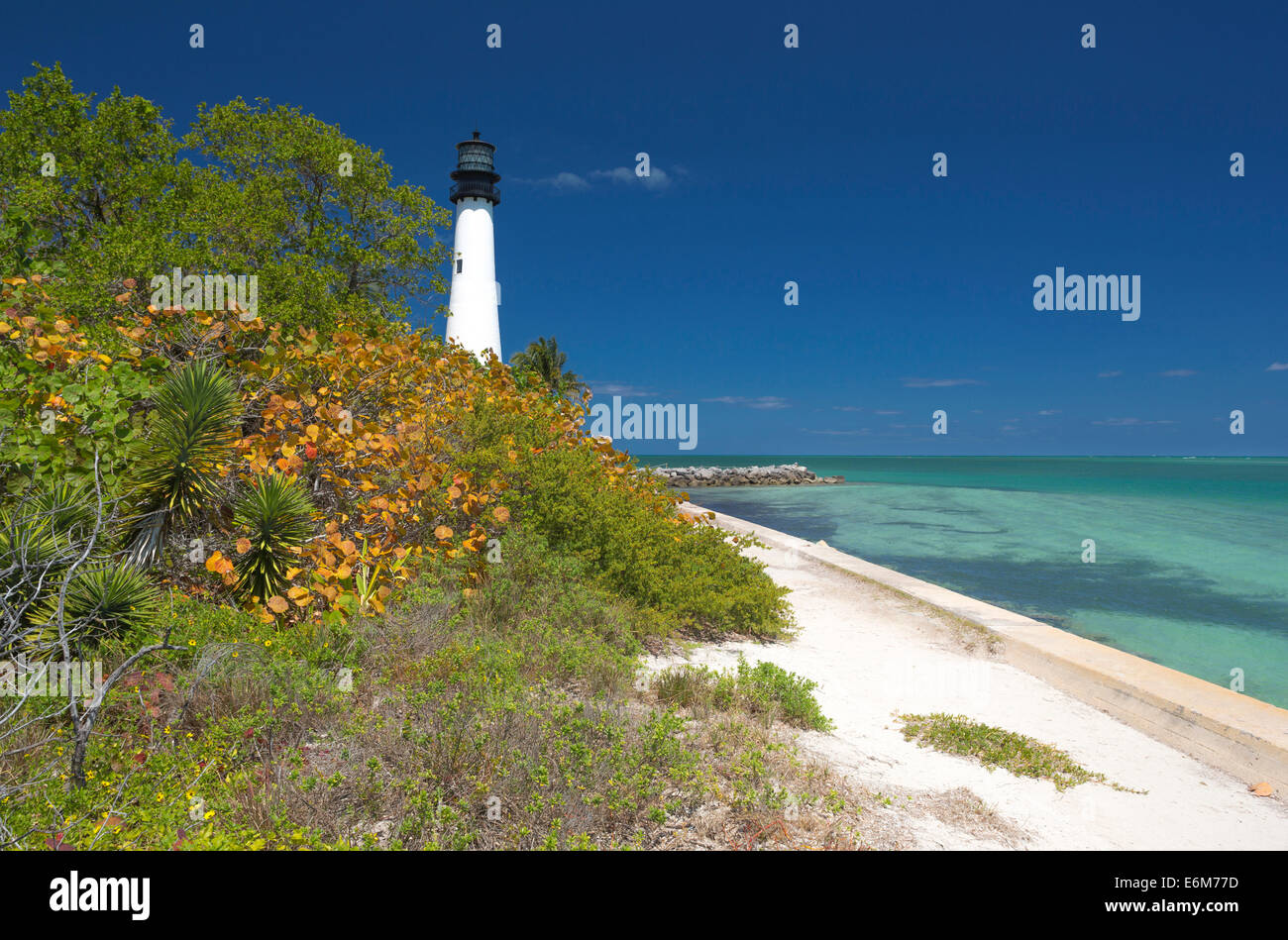 MEER TRAUBE LEUCHTTURM CAPE FLORIDA STATE PARK KEY BISCAYNE MIAMI FLORIDA USA Stockfoto