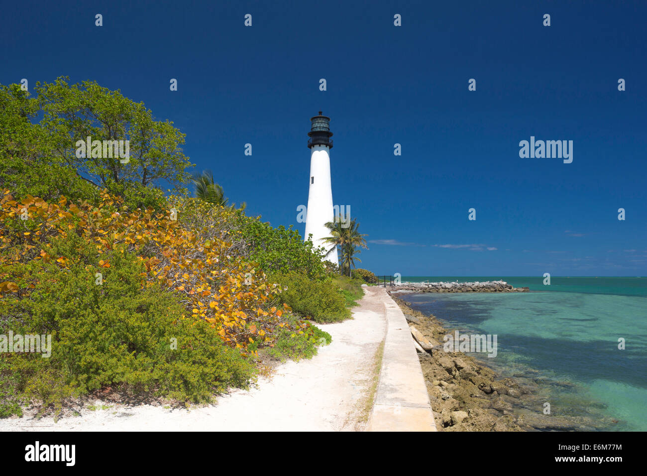 MEER TRAUBE LEUCHTTURM CAPE FLORIDA STATE PARK KEY BISCAYNE MIAMI FLORIDA USA Stockfoto