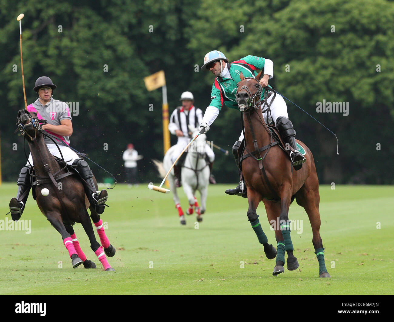 Adolfo Cambiaso Dubia bricht während eines Spiels gegen Talandracas beim Veuve Clicquot Polo Gold Cup 2013 im Cowdray Stockfoto