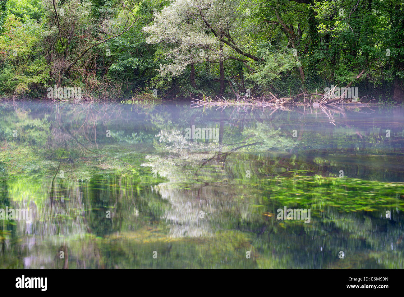 Bäume spiegeln sich in einem Gebirge Fluss. Martin Brod, Bosnien und Herzegowina Stockfoto