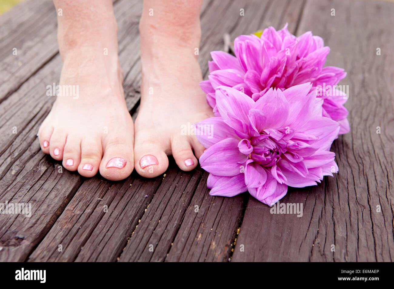 Nahaufnahme von Frau Füße und Blumen Stockfoto