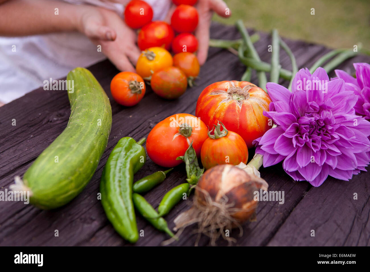 Nahaufnahme der Frau mit Blumen und Gemüse Stockfoto