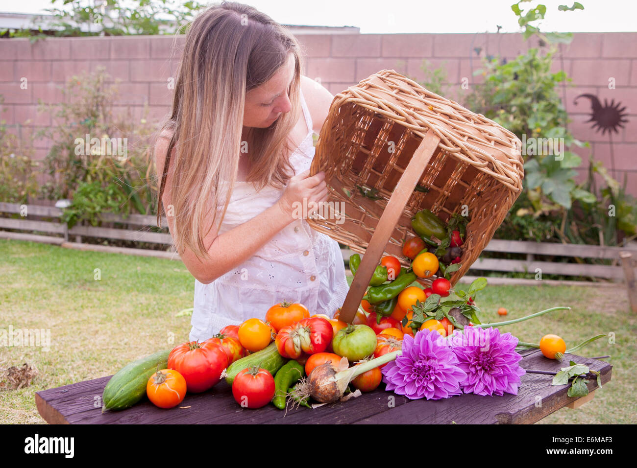 Blick auf Frau im Garten mit Korb mit Gemüse Stockfoto