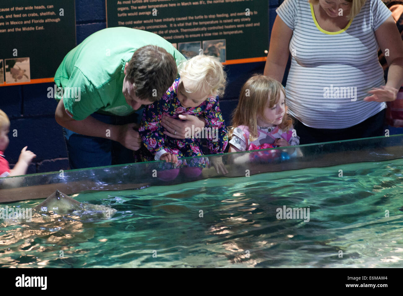 Genießen Sie einen Besuch in Portsmouth Sealife Besucherzentrum England uk Stockfoto