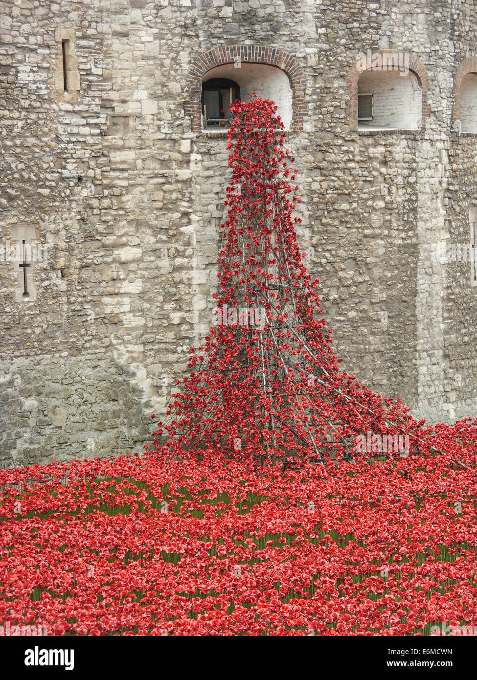Erinnerung-Mohn am Tower of London Stockfoto