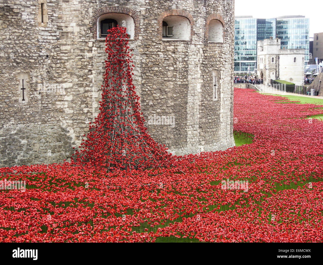 Erinnerung-Mohn am Tower of London Stockfoto
