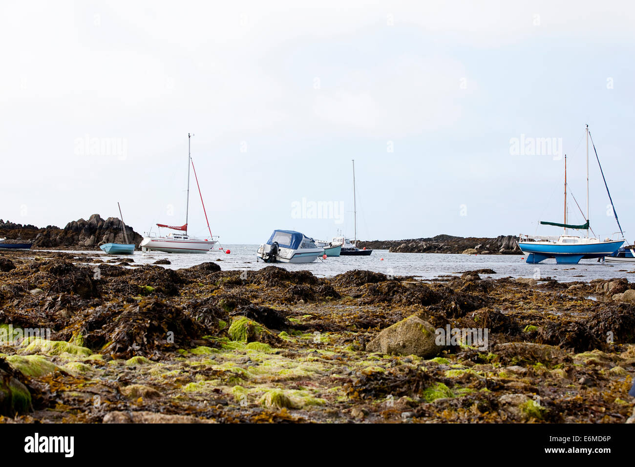 Segel- und Angelboote liegen in der Bucht von Bootstouren, Rhoseigr Beach, Anglesey, North Wales, Gwynedd Stockfoto