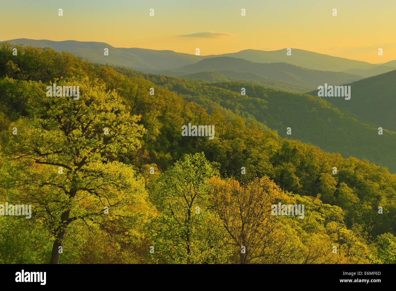 Sunrise, Marys Rock Tunnel Overlook, Shenandoah-Nationalpark, Virginia, USA Stockfoto