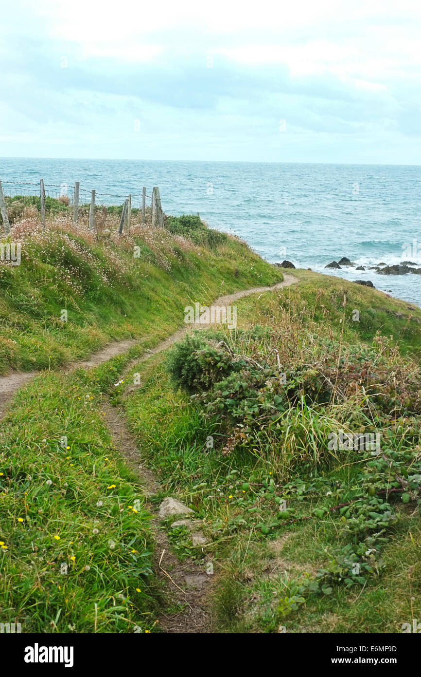 Küstenweg auf Anglesey, Nordwales. In der Nähe von Cable Bay und die Grabkammer Stockfoto