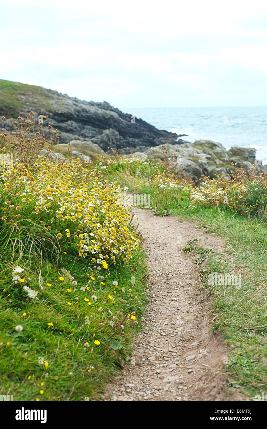 Küstenweg auf Anglesey, Nordwales. In der Nähe von Cable Bay und die Grabkammer Stockfoto
