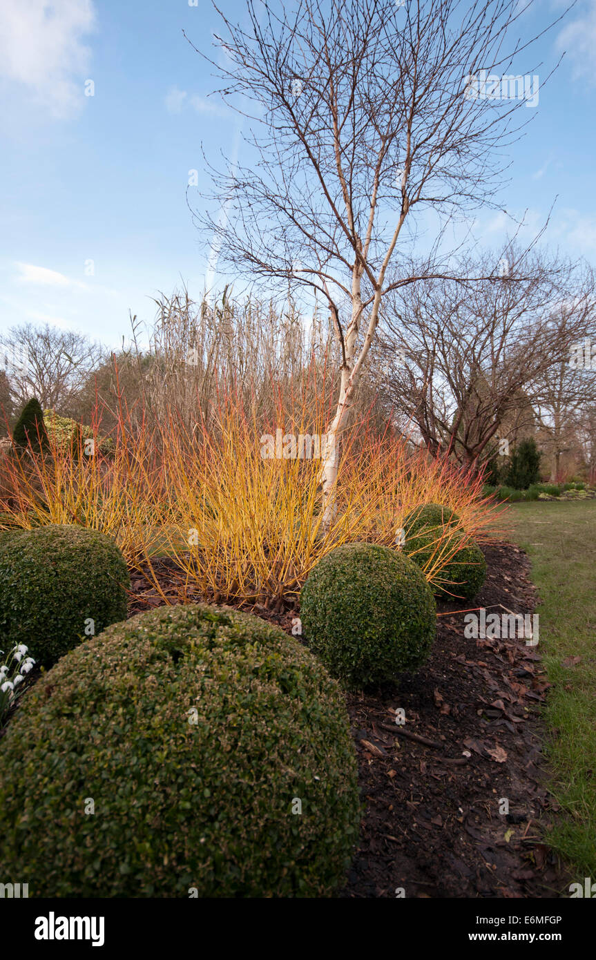 DER WINTERGARTEN IM SIR HAROLD HILLIER GARDENS Stockfoto
