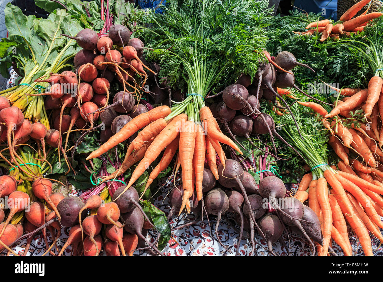 Karotten und Rüben auf Reginas zweimal wöchentlichen Bauernmarkt, Regina, Saskatchewan, Kanada. Stockfoto
