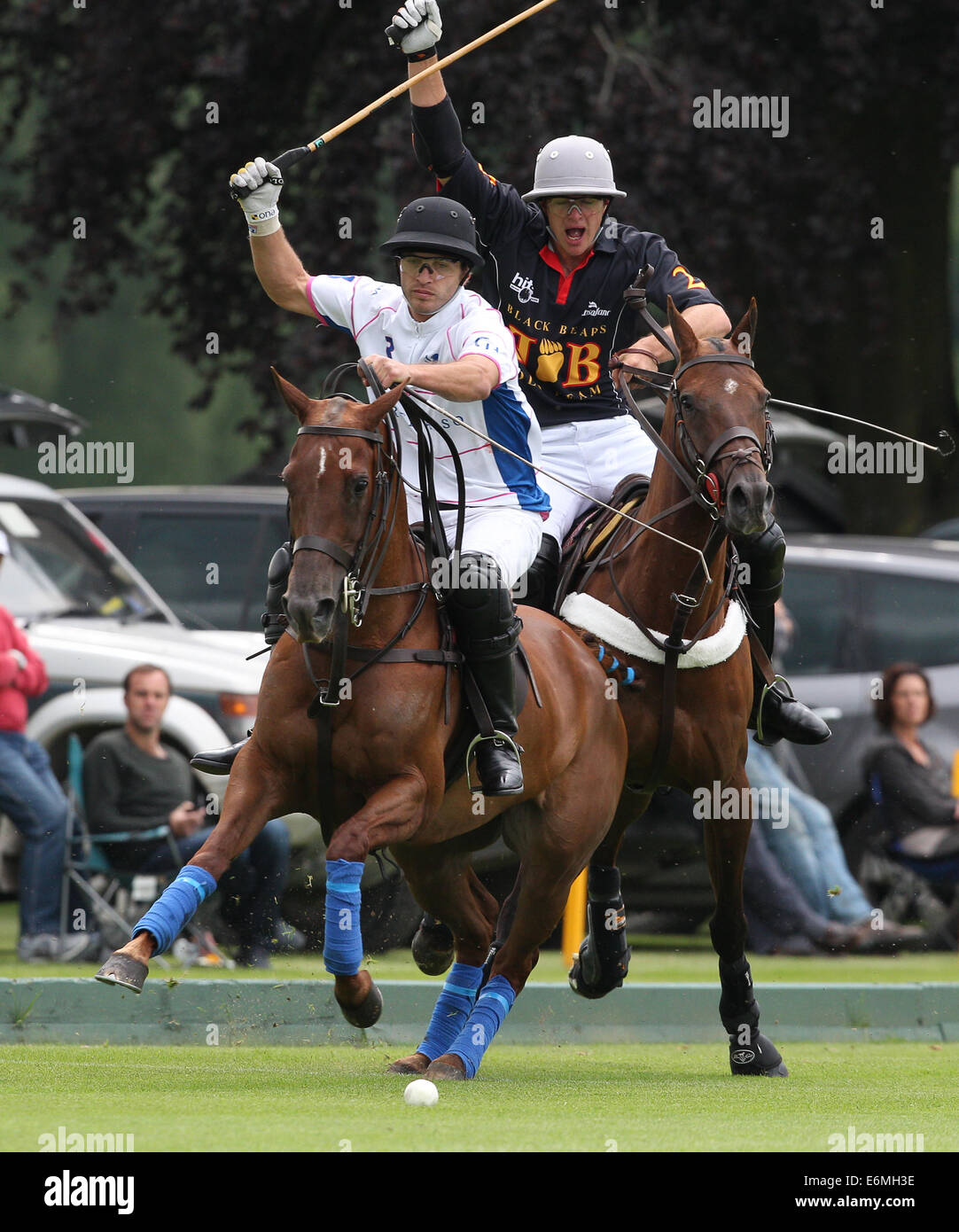 Ignatius du Plessis (R) der Schwarzbären spielt gegen Guillermo Terrera Veuve Clicquot Polo Gold Cup 2013 im Cowdray Stockfoto