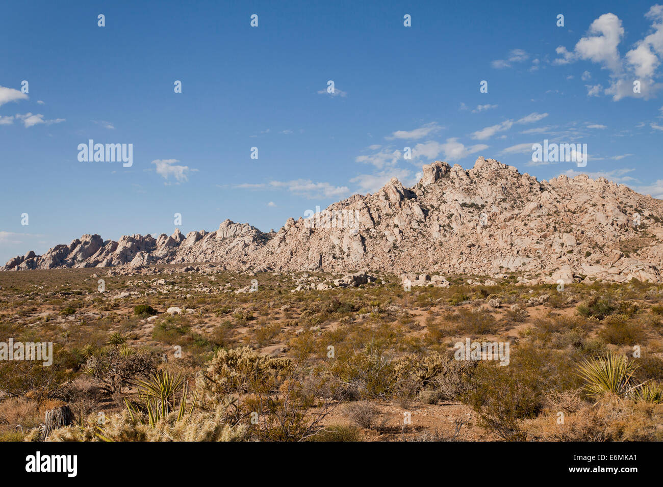 Monzogranite-Rock-Formation - Mojave-Wüste, Kalifornien USA Stockfoto