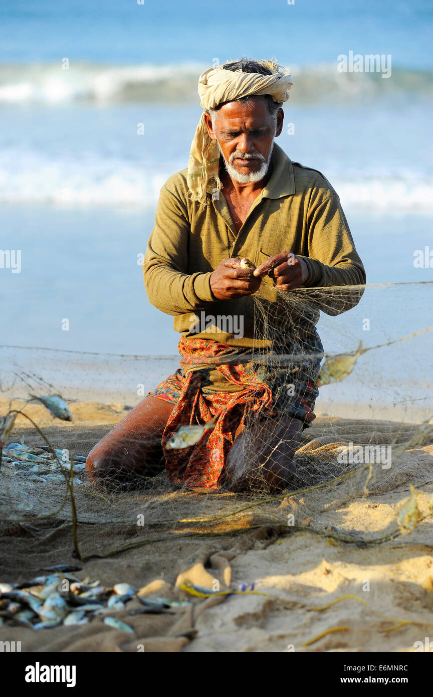Fischer, kleine Fische aus dem Netz nehmen, am Strand, Arabisches Meer, Varkala, Kerala, Südindien, Indien Stockfoto