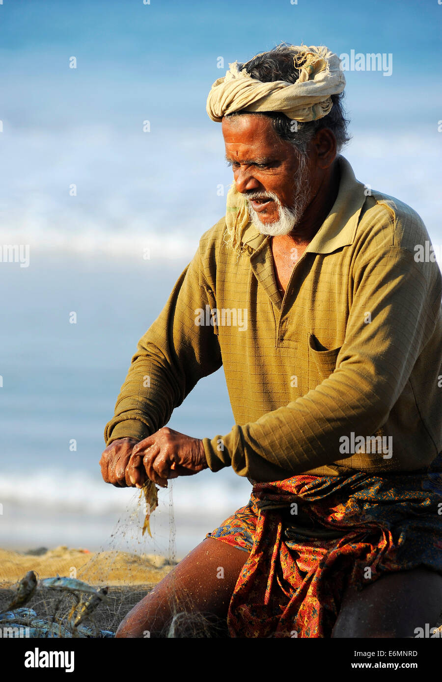 Fischer, kleine Fische aus dem Netz nehmen, am Strand, Arabisches Meer, Varkala, Kerala, Südindien, Indien Stockfoto