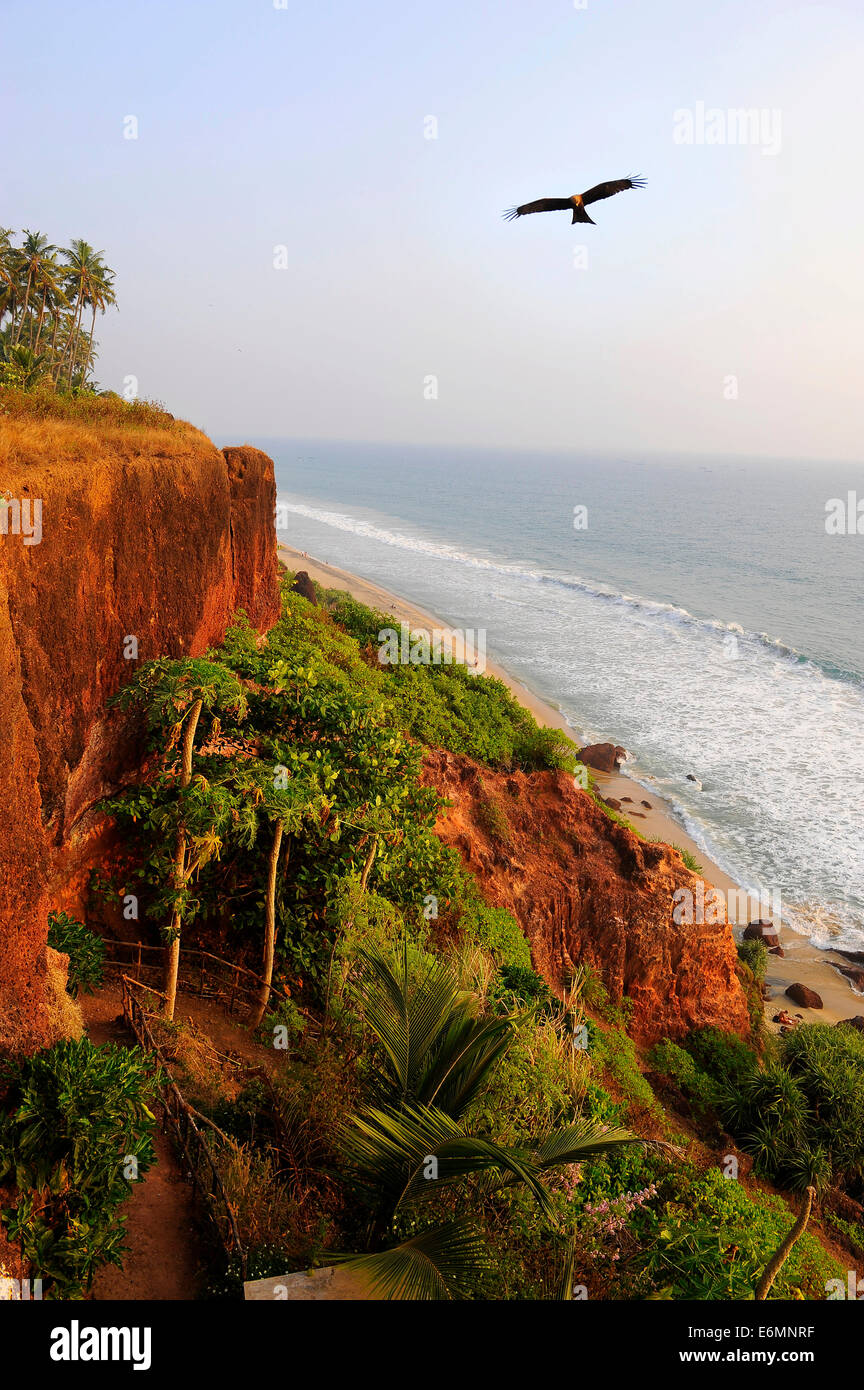 Rote Klippen, South Cliff, Arabisches Meer, Varkala, Kerala, Südindien, Indien Stockfoto