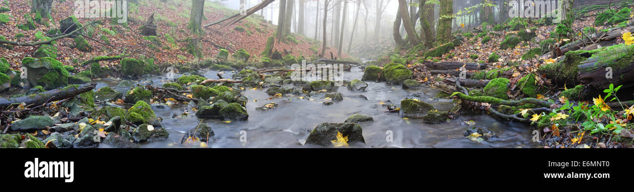 Stream mit moosbewachsenen Basaltsteinen und umgestürzten Baumstämme, Hoher Westerwald, Hessen, Deutschland Stockfoto
