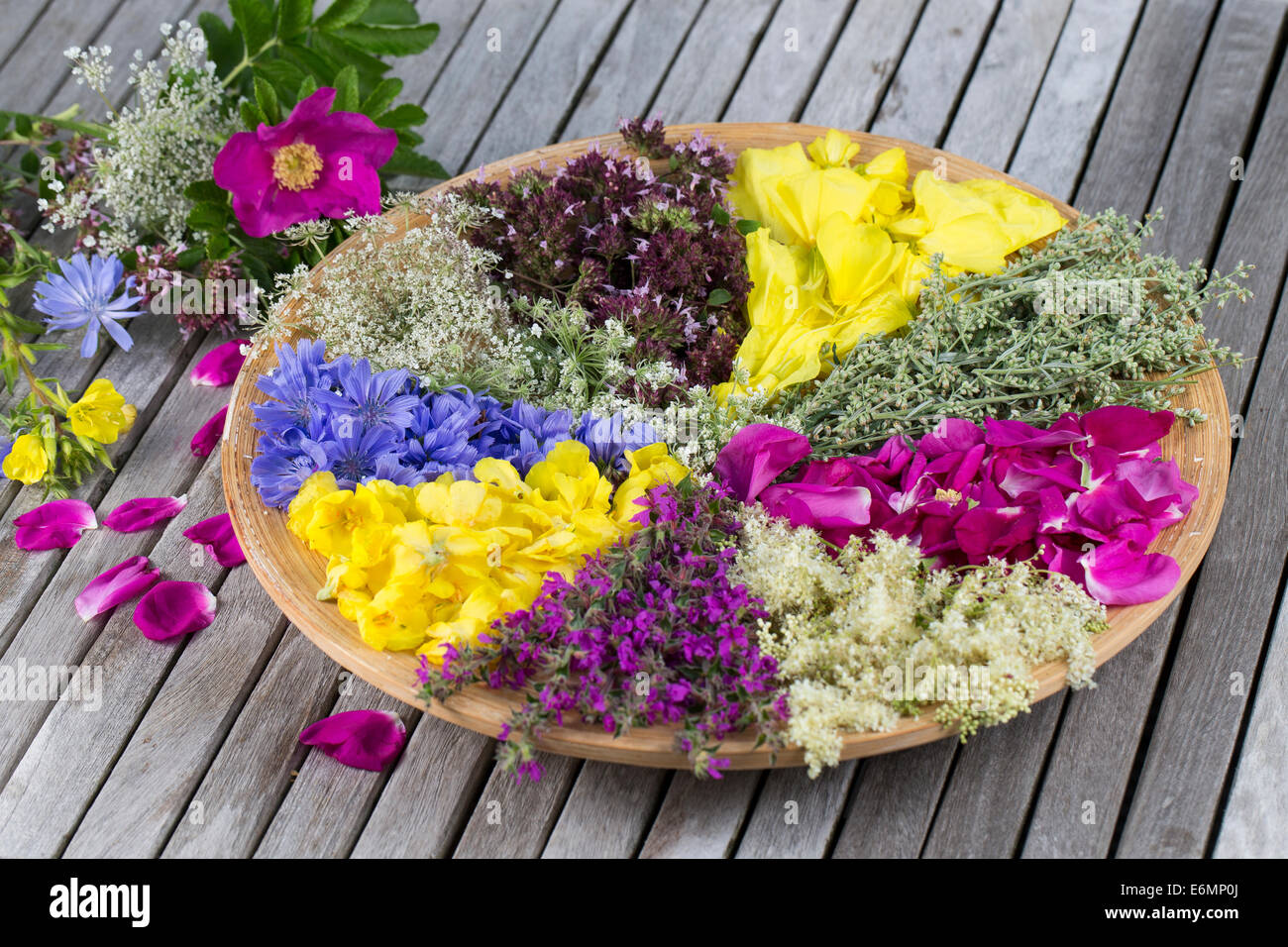 Blütenteller, Blüten, Blumen, Kräuter, Kräuter Sammeln, Kräuterernte,  Blütenblätter Auf Einem Teller Sortiert Zum Trocknen, Essb Stockfotografie  - Alamy