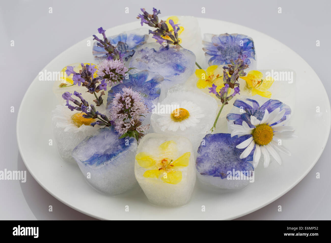 Eiswürfel, Eiswürfel mit essbaren Blumen, Blüten, Blüteneiswürfel, Blüten-Eiswürfel, Eiswürfel Mit Blüten, Blütenblättern Stockfoto