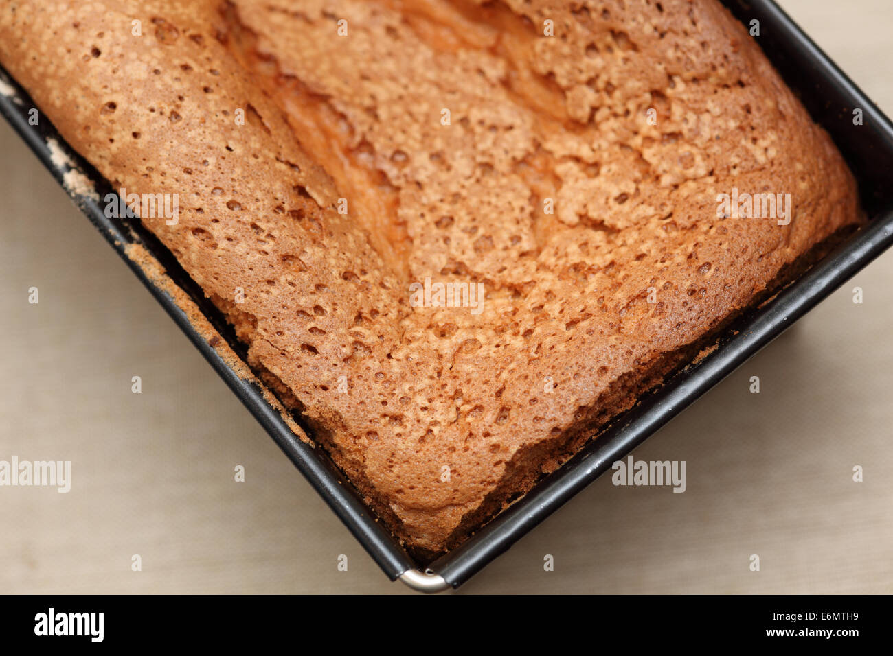 Frisch gebackenes Brot in der Dose Brot. Stockfoto