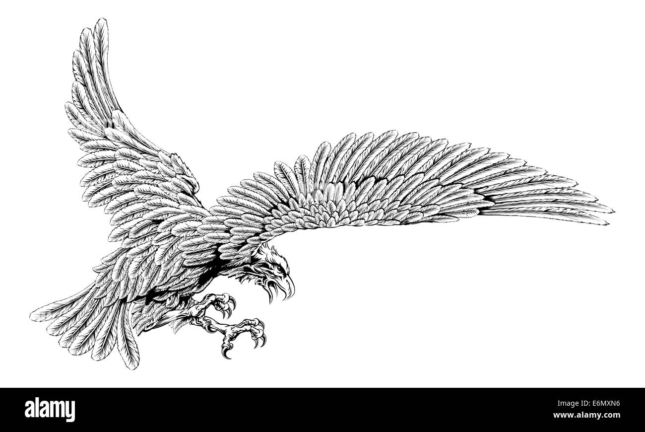 Original Adler-Illustration eines Adlers Sturzflug die töten im Vintage-Stil Stockfoto