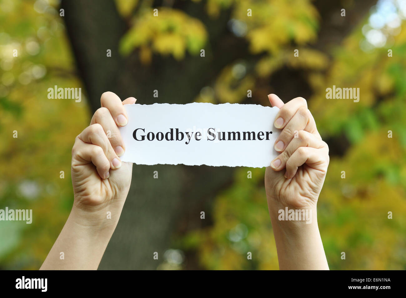 Stück Papier mit den Worten zu sagen "Goodbye Summer" in Frauenhand Herbst Hintergrund gerissen. Stockfoto