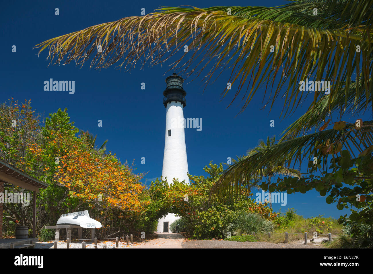PALM WEDEL LEUCHTTURM CAPE FLORIDA STATE PARK BISCAYNE BAY FLORIDA USA Stockfoto